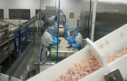 Ecuador: Cải cách thuế giúp thúc đẩy đầu tư vào ngành tôm 