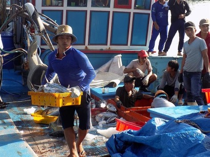 Khánh Hòa: Chuỗi liên kết khai thác, chế biến, tiêu thụ cá ngừ sọc dưa thu hoạch 40 tấn cá