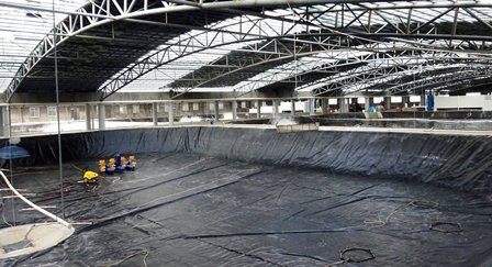 Trung Quốc: Gualian thu hoạch tôm vụ đông đầu tiên từ hệ thống nhà kính