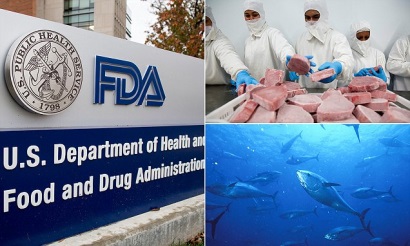 Chiến lược mới của FDA đối với cá ngừ nhập khẩu