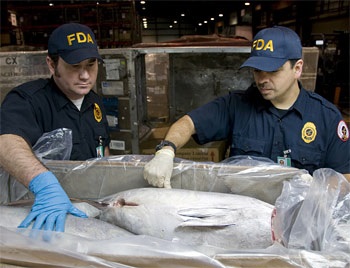 FDA tăng cường kiểm tra các lô hàng cá ngừ vì nguy cơ lây nhiễm virut viên gan A