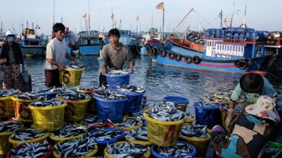 Doanh nghiệp mắc kẹt giữa những bất cập trong xác nhận nguyên liệu khai thác