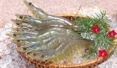 Các đối thủ cạnh tranh xuất khẩu tôm của Việt Nam 