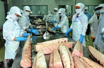 Container hàng thủy sản nhập khẩu không có H/C bị nghẽn tại cảng đã được giải phóng