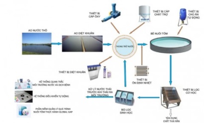 Nuôi tôm: Việc ứng dụng RAS không thể chậm trễ hơn!