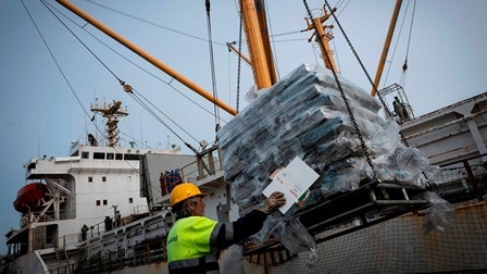 Anh muốn duy trì thương mại mực ống miễn thuế tại Falklands