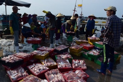 TCBC: Sản phẩm hải sản xuất khẩu vẫn đảm bảo chất lượng ổn định