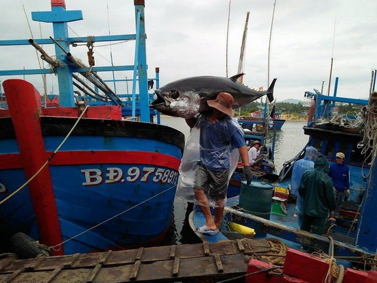 Quyết định 3852/QĐ-BNN-TCTS: đưa ra khỏi danh sách cảng cá chỉ định có đủ hệ thống xác nhận nguồn gốc thủy sản từ khai thác