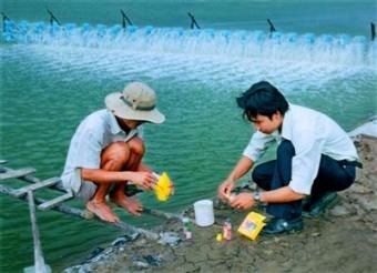 Khóa đào tạo K.18.16: (01 ngày) “Các biện pháp kiểm soát hóa chất và kháng sinh trong nuôi trồng, thu mua, chế biến và bảo quản thủy sản"
