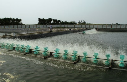 Thanh Hóa: Phòng chống rét trong nuôi trồng thủy sản