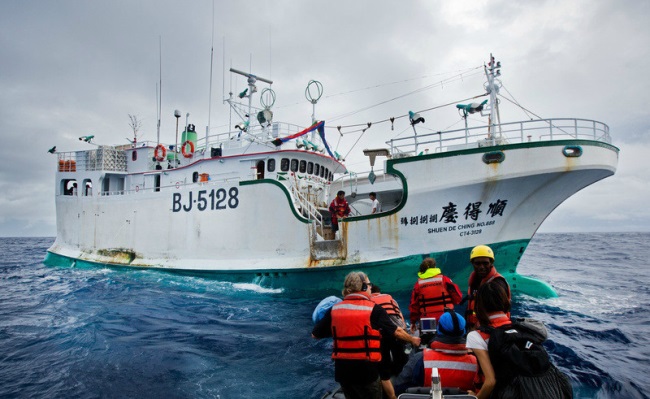 Các đội tàu Đài Loan bị cáo buộc lạm dụng và khai thác bất hợp pháp 