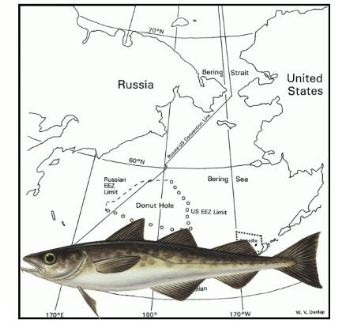 Giá giao dịch cá minh thái Alaska tại Hàn Quốc tăng 70% 