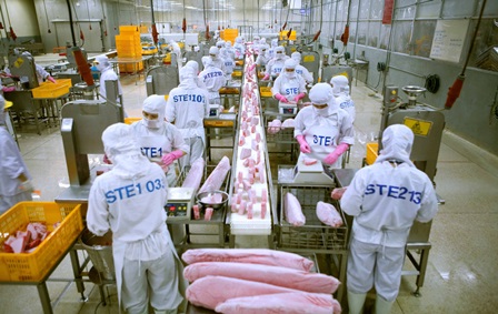 Việt Nam tăng xuất khẩu cá ngừ đông lạnh sang Italy