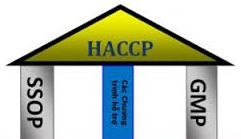 8-11/11/2017 – [Cần Thơ] Khóa đào tạo K 23.17 “HACCP thực hành trong DN chế biến thủy sản”