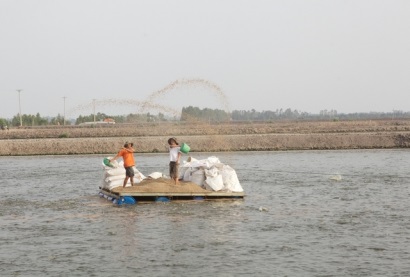 Đồng Tháp: Giá cá tra tăng nhưng người nuôi chưa muốn mở rộng diện tích