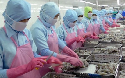 VASEP góp ý, bổ sung một số nội dung về thủ tục kiểm tra, giám sát hải quan