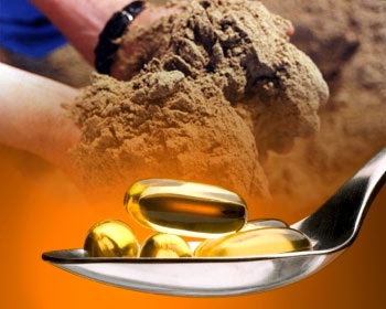 Giá bột cá, dầu cá trên thế giới 