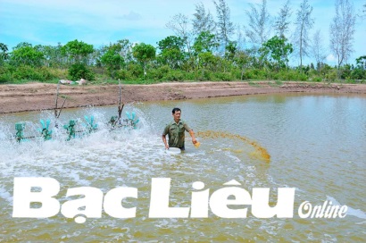 Bí quyết làm giàu bằng tôm sạch: Nông dân trút được gánh nặng “trắng đêm” lo cho tôm ăn
