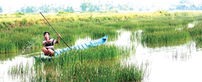 Kiên Giang: Nông dân lao đao vì không có nguồn nước mặn nuôi tôm