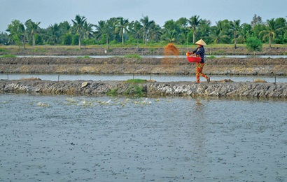 Cá kèo chờ giá