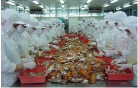 VISEACORP: Giải trình kết quả kinh doanh hợp nhất Q2/2012