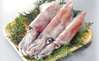 Nhật Bản: Sản lượng khai thác mực ống giảm mạnh