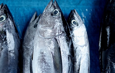 Indonesia: Xuất khẩu thủy sản sang Mỹ, châu Âu trong Q1/2020 tăng