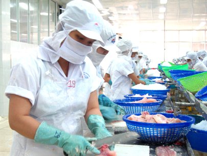 AGIFISH: Nghị quyết Hội đồng Quản trị