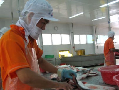 AGIFISH: Báo cáo kết quả giao dịch cổ phiếu của người có liên quan Triệu Thị Tươi