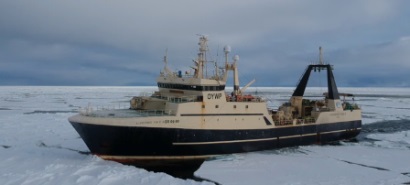 Nga lên kế hoạch thúc đẩy tăng trưởng ngành tôm nước lạnh