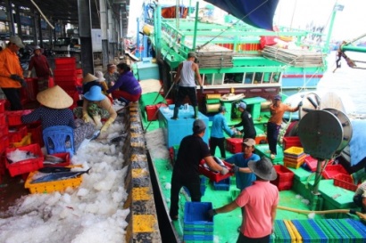Ngư dân miền Trung hồ hởi ra khơi, đón năm mới trên biển