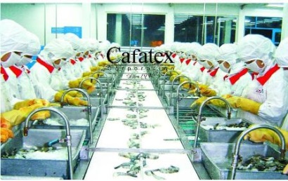 Công ty Cổ Phần Thuỷ Sản Cafatex