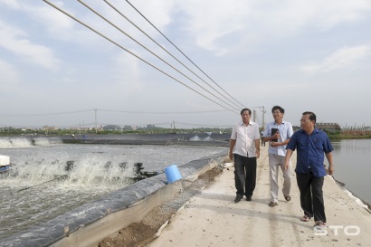 Sóc Trăng: Yêu cầu các sở, ban ngành liên quan phối hợp cùng UBND TX. Vĩnh Châu đề xuất hướng hỗ trợ FIMEX VN mở rộng diện tích vùng nuôi tôm