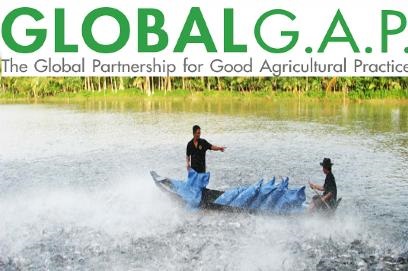 Mời tham dự khóa đào tạo K.05.16: “Cập nhật Tiêu chuẩn GLOBALG.A.P phiên bản 5 cho Trại nuôi Thủy sản”