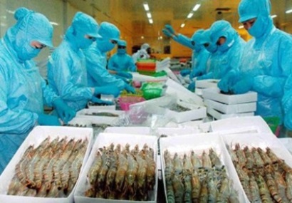 19/4/2018 - [HCM] Khóa đào tạo "Cập nhật qui định vệ sinh ATTP đối với sản phẩm thủy sản NK vào Hàn Quốc"