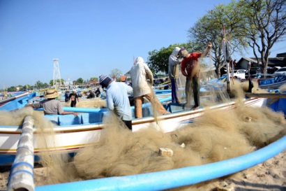 GIÃ CÀO BAY ĐÃ CẤM, SAO VẪN LỘNG HÀNH?