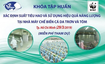 29/3/2019 - [HCM] Khóa tập huấn: Xác định suất tiêu hao và sử dụng hiệu quả năng lượng tại NMCB cá da trơn và tôm