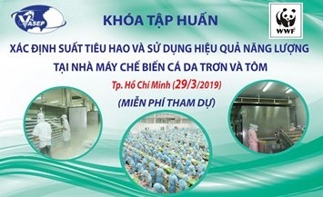 Khóa tập huấn: Xác định suất tiêu hao và sử dụng hiệu quả năng lượng tại NMCB cá da trơn và tôm