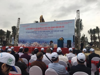 VASEP tham gia thả giống tái tạo nguồn lợi thuỷ sản Vịnh Bắc Bộ 