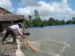 Một số phương pháp dùng thuốc trong nuôi trồng thủy sản