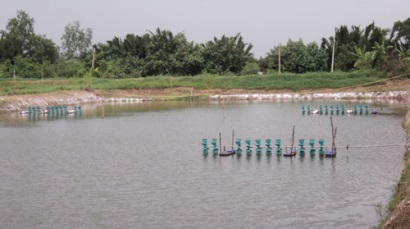 Cà Mau: Khung lịch thời vụ nuôi trồng thủy sản năm 2018