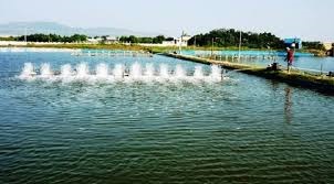 Danh sách các ao nuôi có mã nhận diện 