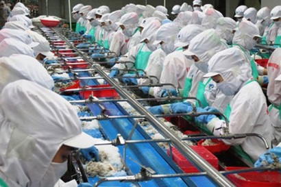 VASEP góp ý dự thảo thông tư thay thế Thông tư 26/2016 và quy định cho hàng đi EU