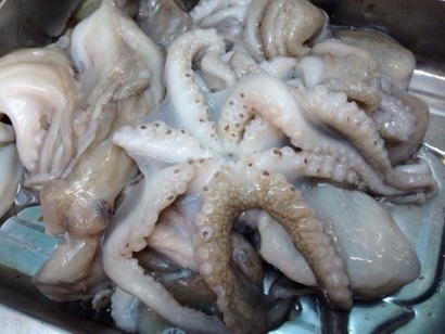 Tây Ban Nha: Giá bạch tuộc tăng cao 