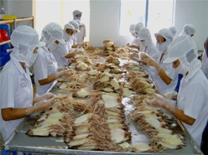 Xuất khẩu mực, bạch tuộc sang các thị trường chính giảm