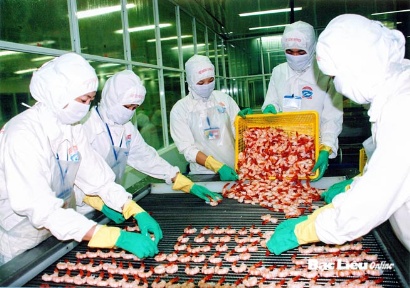 BACLIEUFIS: Dự kiến phát hành 50 tỷ đồng trái phiếu chuyển đổi và trả cổ tức 10% VĐL