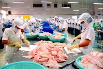 Ai Cập – thị trường xuất khẩu lớn thứ 2 của Việt Nam tại Châu Phi