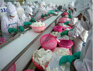 Baseafood sẽ tăng vốn lên 48 tỷ đồng