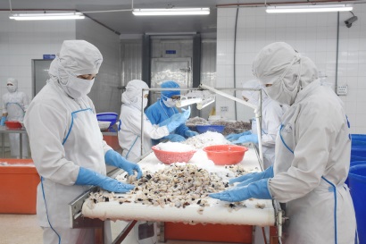 BASEAFOOD: Đưa ra nhiều mặt hàng thủy sản chế biến sẵn phục vụ Tết nguyên đán