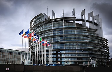 EU bỏ phiếu quyết định hướng tới chuỗi cung ứng thủy sản minh bạch hơn